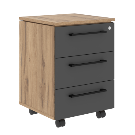 Тумба мобильная MMC-3D.A Антрацит/Дуб Денвер светлый 465х450х652 MORIS TREND