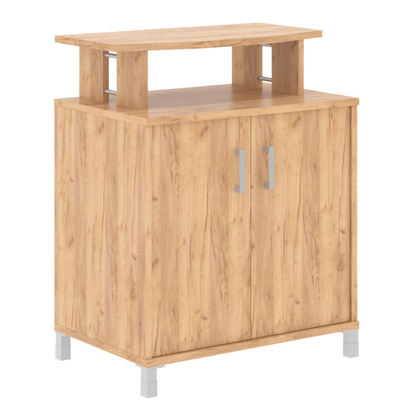 Фригобар с опорами B 450.1 Дуб Бофорд 900х600х1145 BORN