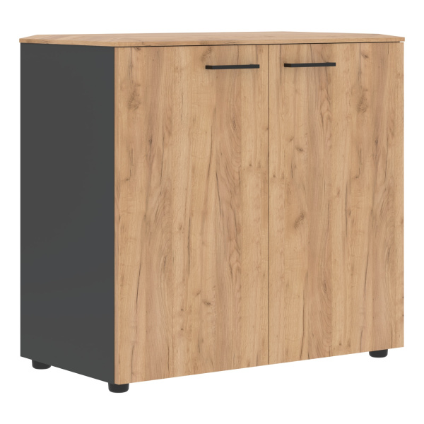 Шкаф с глухими дверьми и топом JLC 85.1 Дуб Бофорд/Антрацит 856х452х814 JAY